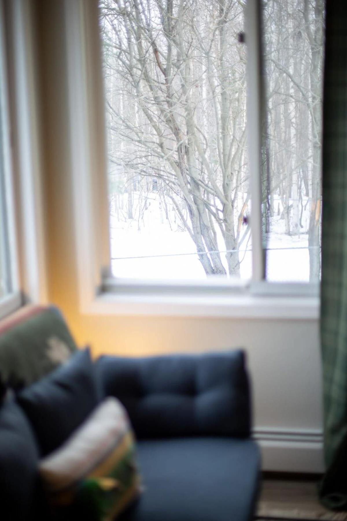 Stylish1 Bed 1 Bath Apartment Anchorage Luaran gambar